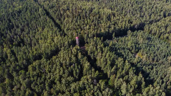 Orman Yolları, Ogre, Devler, Patenli Tornis Tahta Gözlem Kulesi Hava Görüntüsü