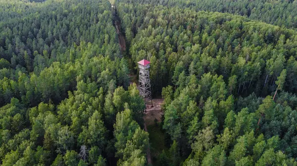 Orman Yolları, Ogre, Devler, Patenli Tornis Tahta Gözlem Kulesi Hava Görüntüsü