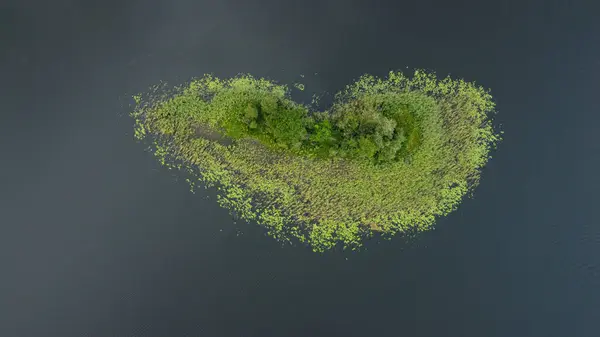 Letonya 'daki Yeşil Ada ile Göl Havadan Görünümü