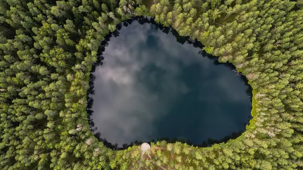 Ormanla çevrili Letonya Gölü 'nün havadan görünüşü. Velnezers, Certoka ezers Aglona.