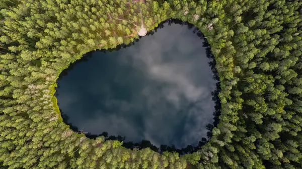 Ormanla çevrili Letonya Gölü 'nün havadan görünüşü. Velnezers, Certoka ezers Aglona.