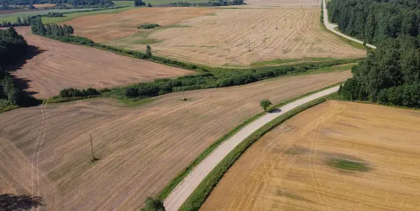 Tahıl Tarlaları ve Ülke Yollarının Hava Görünümü