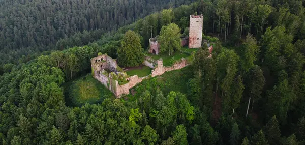Antik Alman Kalesi 'nin Ormandaki Hava Görüntüsü