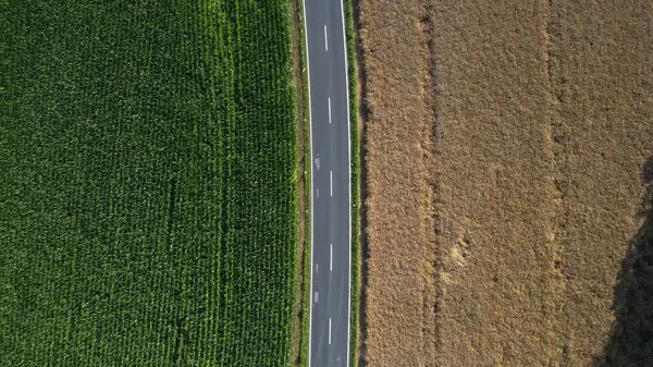 Yeşil ve Tahıl Tarlaları Arasındaki Asfalt Yolu 'nun Hava Görünümü