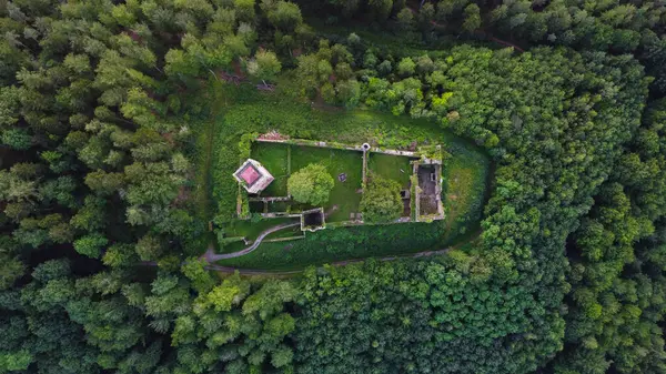 Antik Alman Kalesi 'nin Ormandaki Hava Görüntüsü