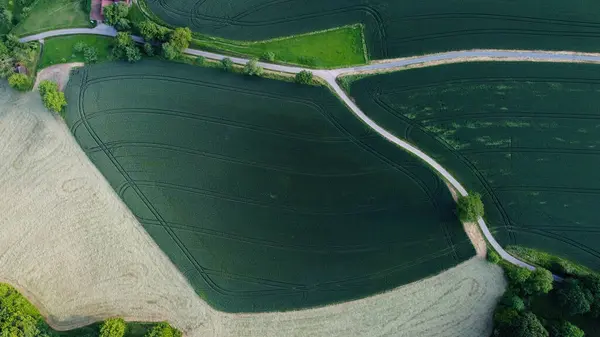 Tahıl Tarlaları ve Ülke Yollarının Hava Görünümü