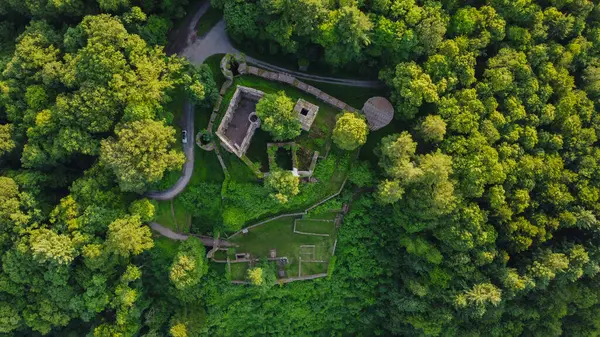 Antik Alman Kalesi 'nin Ormandaki Hava Görüntüsü