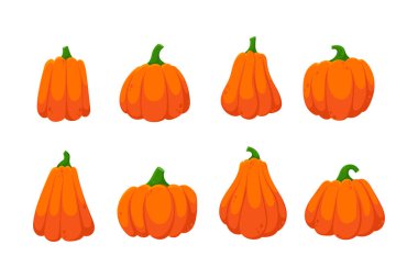 Balkabağı vektör seti, Cadılar Bayramı balkabağı, sonbahar hasadı. Cadılar bayramı için sonbahar balkabağı koleksiyonu. Çıkartmalar, posterler ve baskılar için kullan.