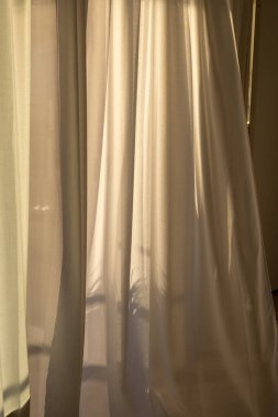 Soft sunlight filtering through sheer curtains, creating a warm and inviting atmosphere in a room. clipart