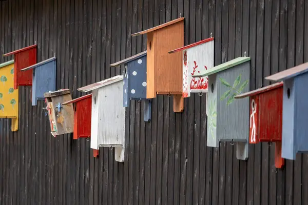Koyu ahşap bir duvara bağlı renkli kuş evleri. Her kuş evinde polka noktaları ve çiçek desenleri de dahil olmak üzere eşsiz tasarımlar ve renkler var..
