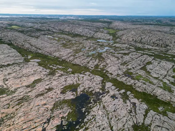 stock image Aerial view of a rocky coastline featuring large, smooth boulders with natural pools and green seaweed. The texture of the rocks is prominent, showcasing lines and patterns.