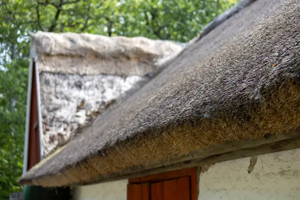 Samanla sazdan yapılmış çatıya yakın çekim. Dokusunu ve işçiliğini sergiliyor. Arka planda yeşillik var, bu da kırsal bir ortam olduğunu gösteriyor..