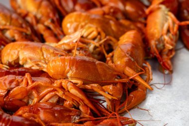 Pişmiş kerevitlerin yakın plan görüntüsü, canlı turuncu renklerini ve karmaşık ayrıntılarını gözler önüne seriyor. Kerevit, metalik bir yüzey üzerinde birbirine yakın bir şekilde dizilir ve dokusu ve görünüşü vurgulanır..