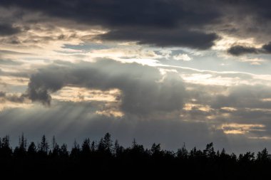 Kara bulutlar ve güneş ışınlarıyla dolu dramatik bir gökyüzü yeryüzündeki manzarayı aydınlatıyor. Siluetli ağaçlar ufukta süzülüyor, dingin ama güçlü bir atmosfer yaratıyor..
