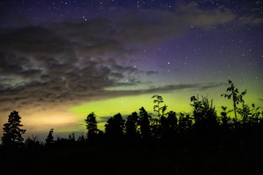 Göz kamaştırıcı bir gece gökyüzü yıldızların ve renkli auroraların karışımı, ön planda siluetli ağaçlar ve canlı yeşil ve mor renkler var..