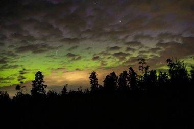 Göz kamaştırıcı bir gece gökyüzü, bulutların arasında dans eden canlı yeşil auroralar, ön planda siluetli ağaçlar, ve arka planda parıldayan yıldızlar..