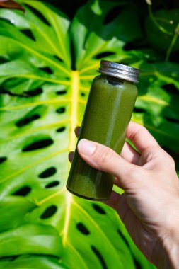 Canlı tropikal yaprakların önünde elinde yeşil detoks suyu şişesi tutuyordu. Sağlıklı yaşam tarzı ve egzotik orman geçmişi üzerine organik beslenme konsepti. Sağlık ve doğal beslenme konsepti.