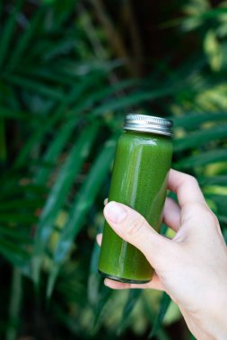 Canlı tropikal yaprakların önünde elinde yeşil detoks suyu şişesi tutuyordu. Sağlıklı yaşam tarzı ve egzotik orman geçmişi üzerine organik beslenme konsepti. Sağlık ve doğal beslenme konsepti.