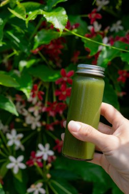 Canlı tropikal yaprakların önünde elinde yeşil detoks suyu şişesi tutuyordu. Sağlıklı yaşam tarzı ve egzotik orman geçmişi üzerine organik beslenme konsepti. Sağlık ve doğal beslenme konsepti.