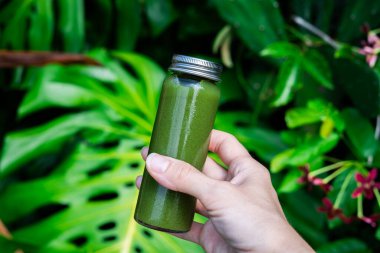 Canlı tropikal yaprakların önünde elinde yeşil detoks suyu şişesi tutuyordu. Sağlıklı yaşam tarzı ve egzotik orman geçmişi üzerine organik beslenme konsepti. Sağlık ve doğal beslenme konsepti.