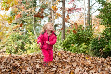 Beyaz, tatlı, mutlu bir kız. Arka bahçede düşen yapraklarla oynuyor. Sonbahar sezonunun tadını çıkarıyor. Düşen yapraklar eğlencelidir. Mutlu çocukluk kavramı