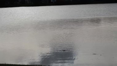 Sessiz bir göl, arka planda durgun su ve birkaç ev var.