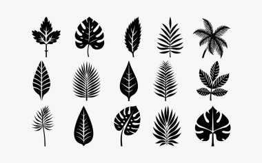 Tropikal yapraklar hazır. Beyaz arka planda siyah siluet. Orman ormanları. Vektör illüstrasyonu.