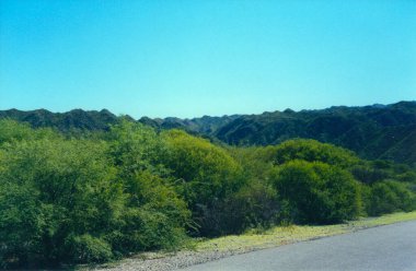 Yolun yanında, arka planda sık ağaçlar ve dağlar var..