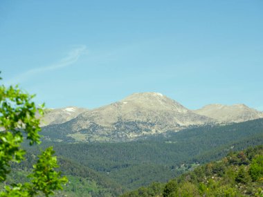 Mountainous massif with extensive forests on its slopes clipart