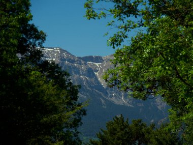 Ormandaki ağaçların arasından görünen dağ sıraları.