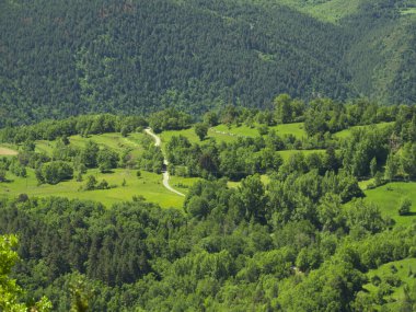 Dağlardaki yeşil çayırlar arasında