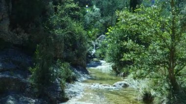 Mountainside kristal berraklığında bir dere tarafından yontuldu