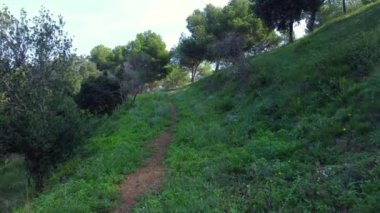 Bir dağ yolunda yürüyorum