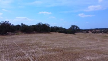 Kesilmiş buğday tarlasının üzerinden uçarak uzak bir köyü keşfetmek için ağaçlık bir alanın üzerinden geçiyorlar..