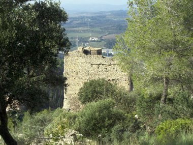 Piece of wall and tower in a medieval enclosure. clipart