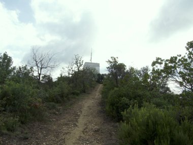 Low forest area on the summit of an old telegraph tower. clipart