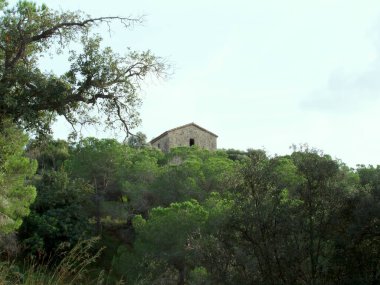 Top of a tower seen from the forest. clipart