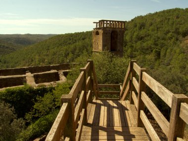 Wooden staircase with tower and forest in the background. clipart