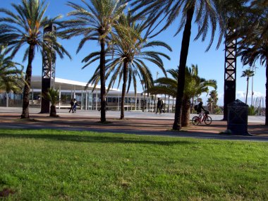 İnsanlar gezinti alanlarında, hurmalıklar ve limanın yanındaki bahçelerde..