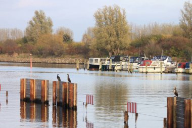 Sonbahar, yatlar, deniz kuşları.