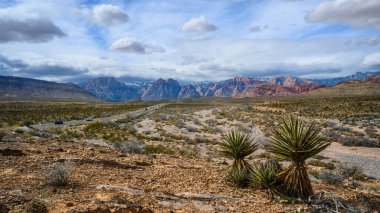  Red Rock Canyon Nevada dağlarına giden bir otoyolun geniş açılı fotoğrafı. Mavi gökyüzü ve bulutlar. Ön planda Yucca bitkisi.
