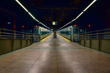 Grand Central Terminali 'ndeki demiryolu platformunu iki tren park etti..