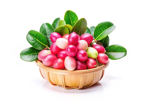 Carissa Carandas sepetinde yeşil yapraklar olan meyveler.