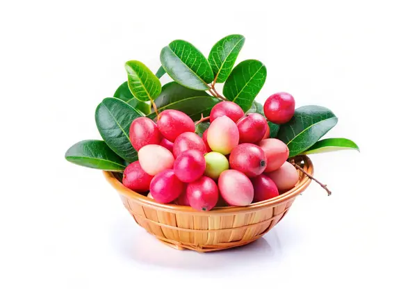 Carissa Carandas sepetinde yeşil yapraklar olan meyveler.