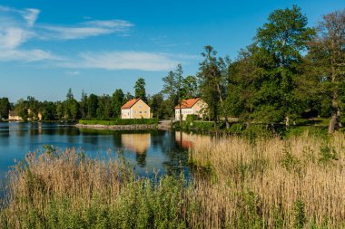 Parktaki gölün güzel manzarası.