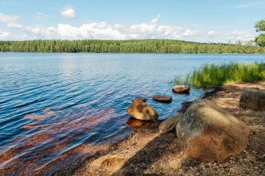 Göl kıyısında bir kütüğü olan açık mavi gökyüzünde ormanla çevrili bir göl.