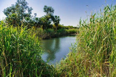 Kırsal kesimde güzel bir nehir manzarası.