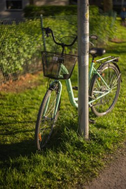 Bahçede yeşil ve sarı bisiklet