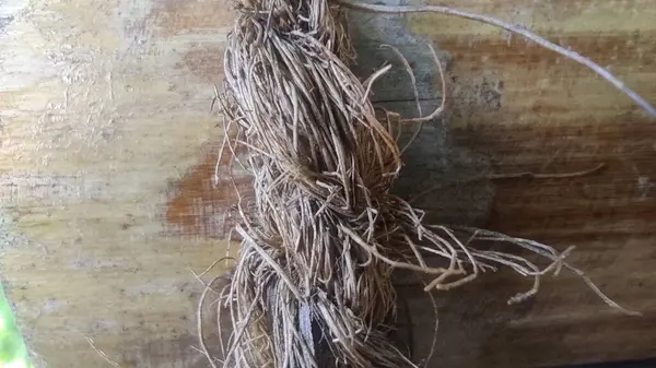 stock image zoom in or close up of a woven rope tied to bamboo