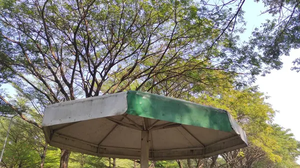 Yeşil bahçede büyük beyaz ve yeşil bir şemsiye.